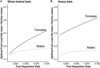 Testing Predictions of Optimal Migration Theory in Migratory Bats